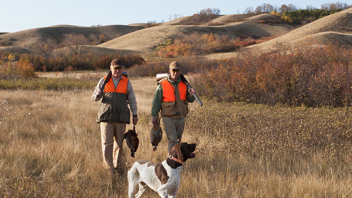 Two men and a dog walking back after pheasant hunting in North Dakota